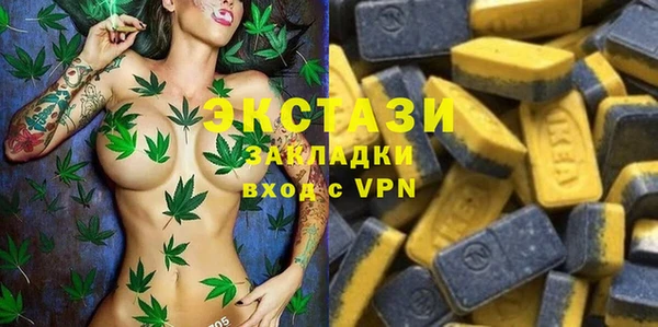 PSILOCYBIN Алзамай