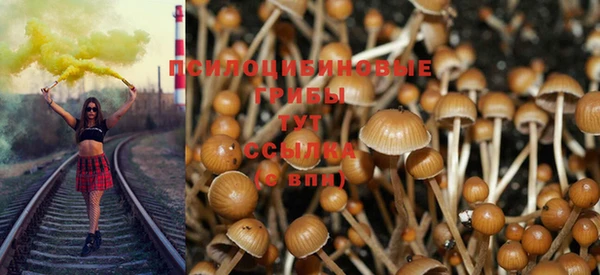 PSILOCYBIN Покровск