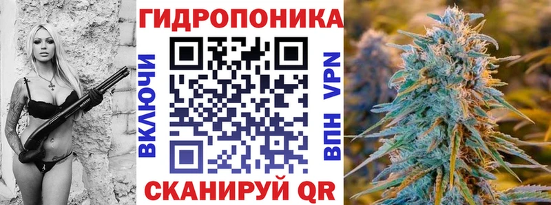 Канабис гибрид  Майский 